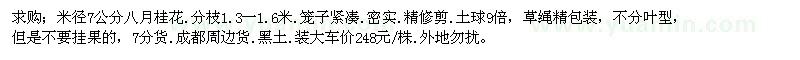 求購米徑7公分八月桂