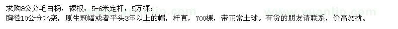 求購8公分毛白楊、胸徑10公分北欒