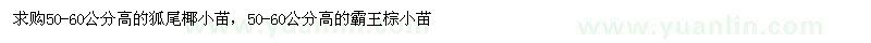 求購50-60公分高狐尾椰小苗