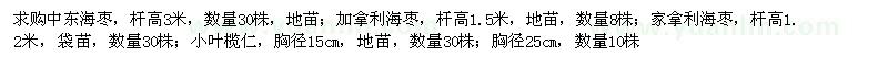 求購中東海棗、加拿利海棗、小葉欖仁