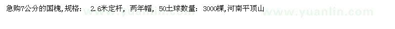 求購7公分國槐