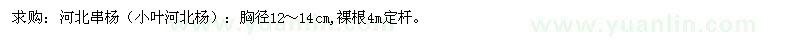 求購小葉河北楊