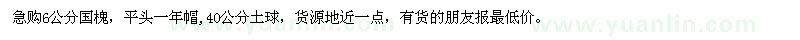 求購6公分國(guó)槐