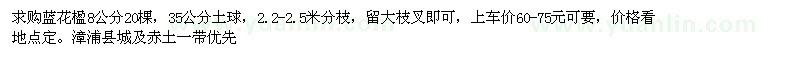 求購8公分藍花楹