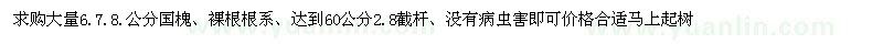 求購(gòu)國(guó)槐