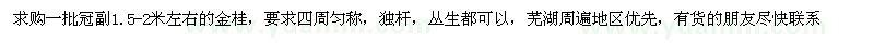 求購金桂