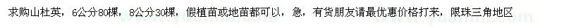 求購6、8公分山杜英
