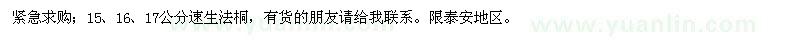 求購15、16、17公分速生法桐