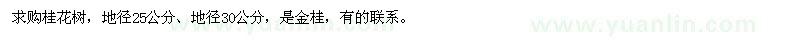 求購桂花樹