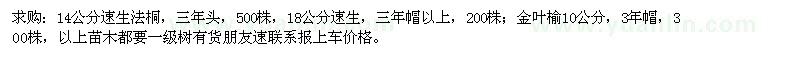 求購金葉榆、速生法桐