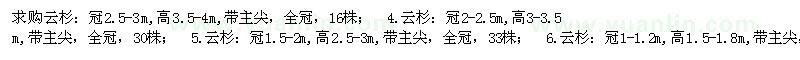 求購云杉