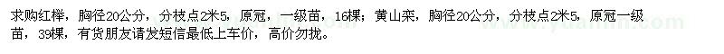 求購胸徑20公分紅櫸、黃山欒