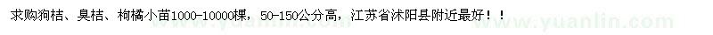 求購狗桔小苗、臭桔小苗、枸橘小苗