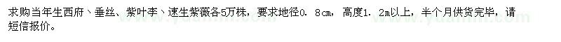 求購紫葉李、西府海棠、垂絲海棠等苗木