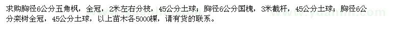 求購胸徑6公分五角楓、國槐、欒樹