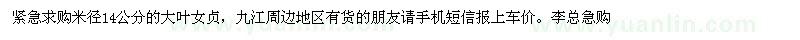 求購米徑14公分大葉女貞