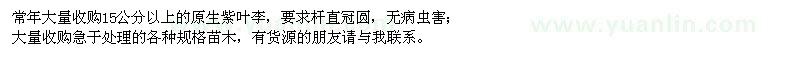 求購原生紫葉李、各種規(guī)格處理苗木