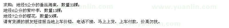 求購垂絲海棠、紫葉李、櫻花