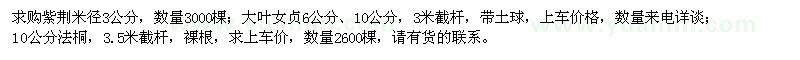 求購紫荊、大葉女貞、法桐