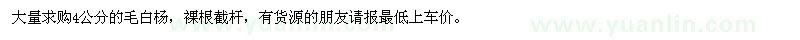 求購4公分毛白楊