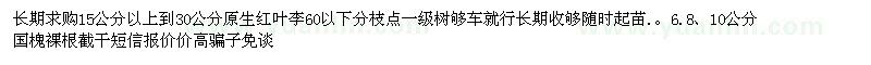 求購原生紅葉李、國槐 