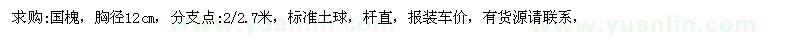 求購國槐