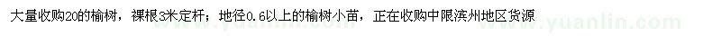 求購20公分榆樹
