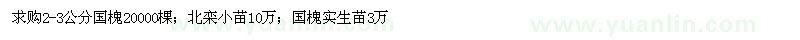 求購(gòu)國(guó)槐、北欒小苗