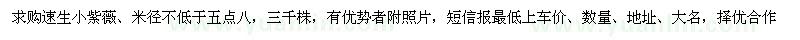 求購速生小紫薇