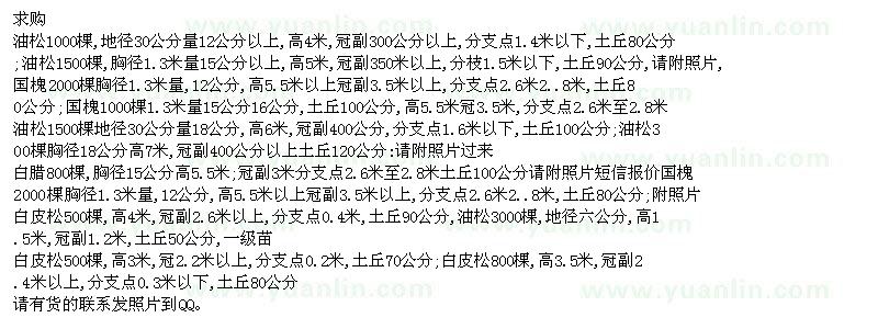 求購(gòu)油松、國(guó)槐、白蠟、白皮松