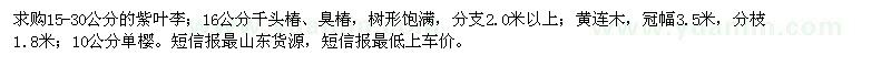 求購紫葉李、千頭椿、臭椿