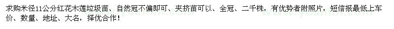 求購米徑11公分紅花木蓮垃圾苗