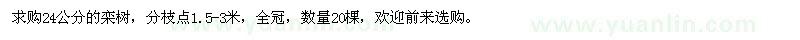 求購(gòu)24公分欒樹(shù)