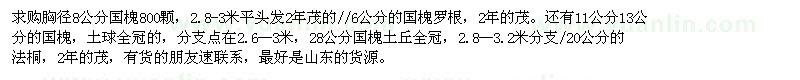 求購6、8、13、28公分國槐、20公分法桐