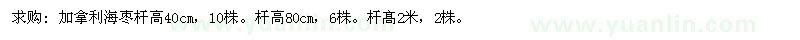 求購(gòu)加拿利海棗