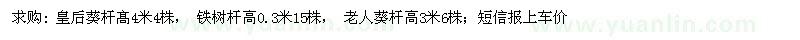 求購(gòu)皇后葵、鐵樹(shù)、老人葵