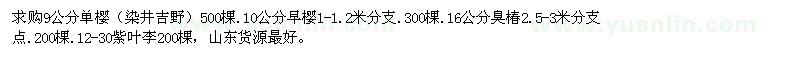 求購(gòu)單櫻、早櫻、臭椿、紫葉李