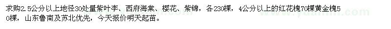 求購紫葉李、西府海棠、櫻花、紫錦、紅花槐、黃金槐