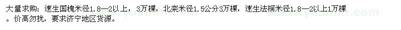 求購(gòu)速生國(guó)槐、速生法桐、北欒
