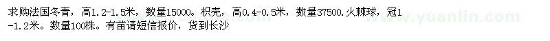 求購法國冬青、火棘球
