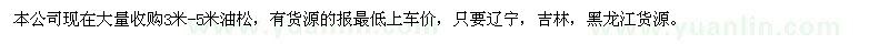 求購(gòu)3、5米油松