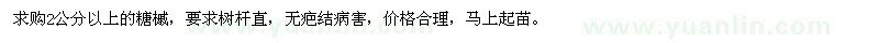 求購2公分以上糖槭