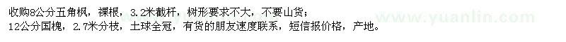 求購8公分五角楓、12公分國槐