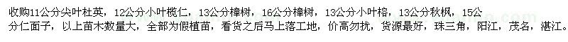 求購(gòu)尖葉杜英、小葉欖仁、樟樹、小葉榕、秋楓、仁面子