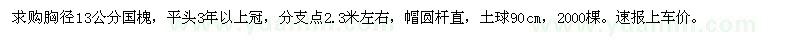 求購(gòu)胸徑13公分國(guó)槐