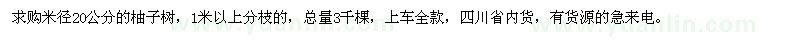 求購米徑20公分柚子樹