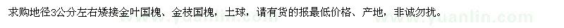 求購(gòu)地徑3公分金葉國(guó)槐、金枝國(guó)槐