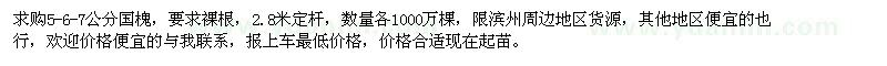求購(gòu)5、6、7公分國(guó)槐