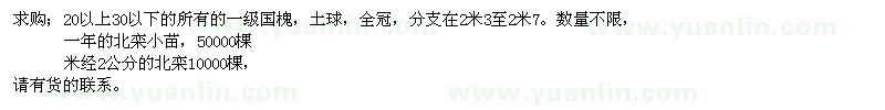 求購國槐、北欒、北欒小苗