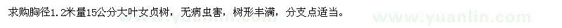 求購15公分大葉女貞